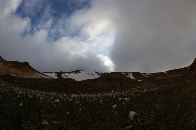 _MG_4226.jpg