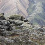 img_3682.jpg